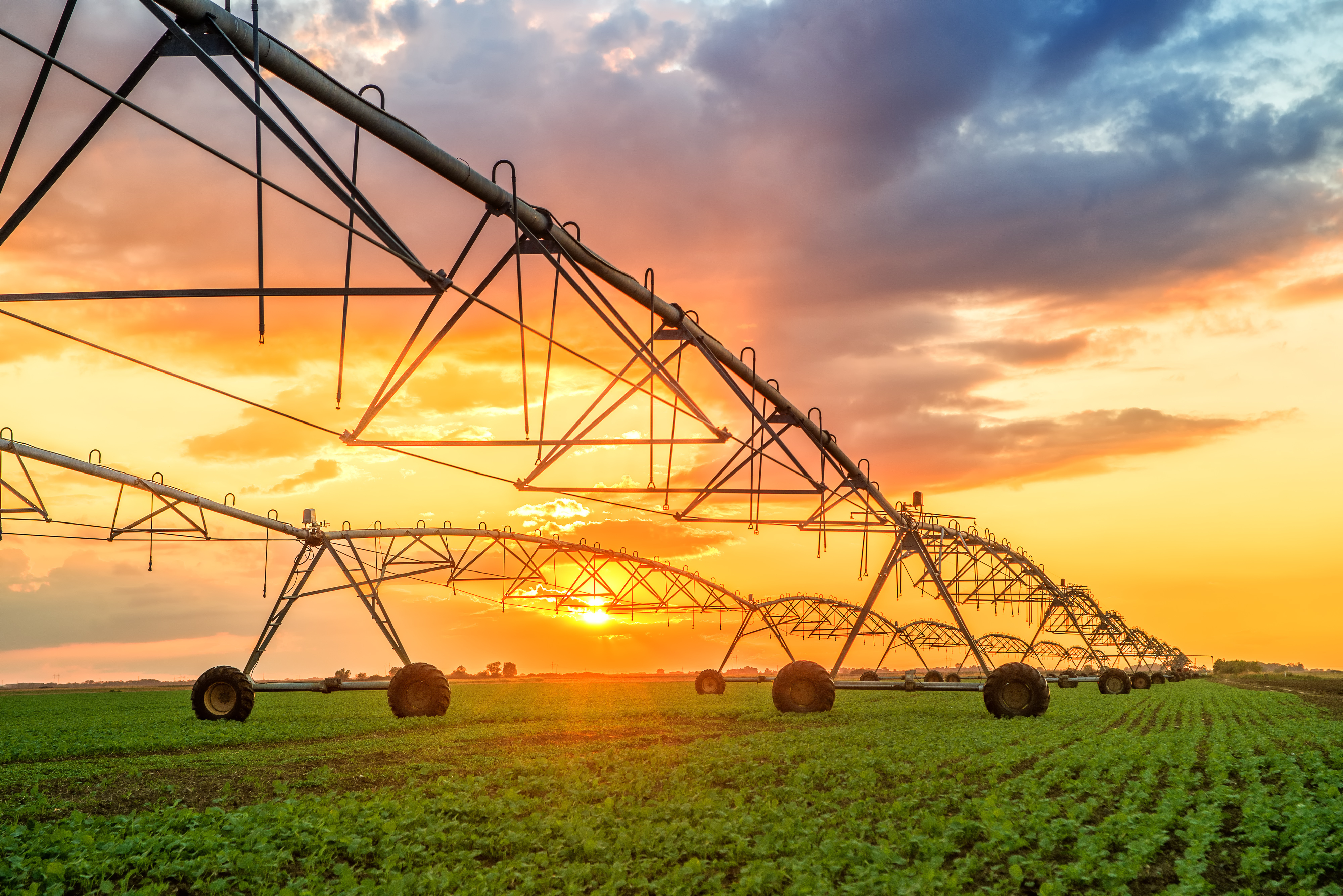 soil-moisture-when-to-irrigate-when-not-to-irrigate